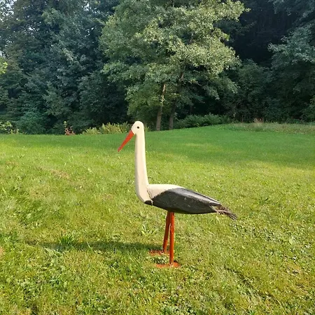 Vila Dom Pod Ptasznica Kudowa-Zdrój Pokoj fotografie